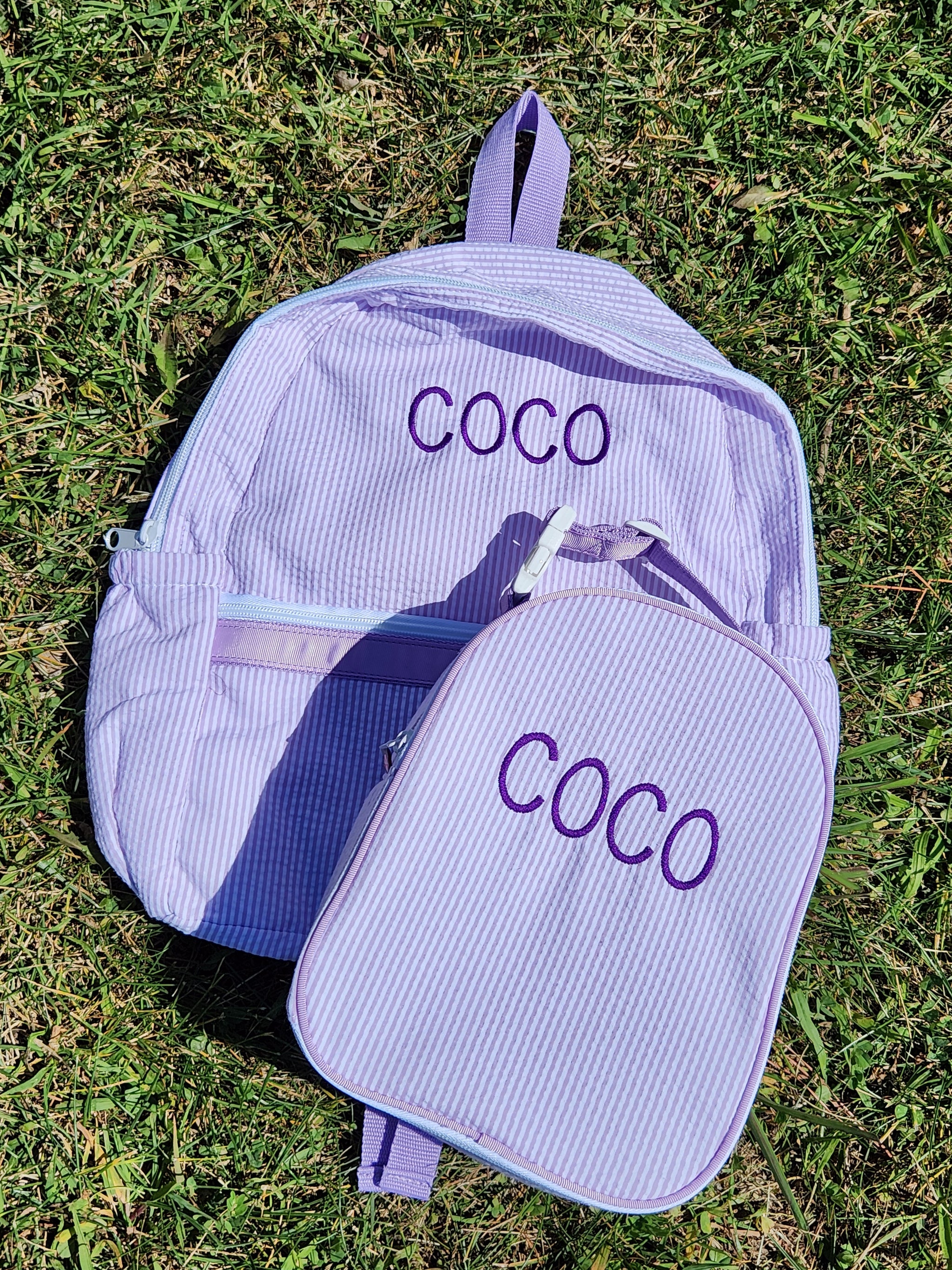 Purple Seersucker Lunchbox