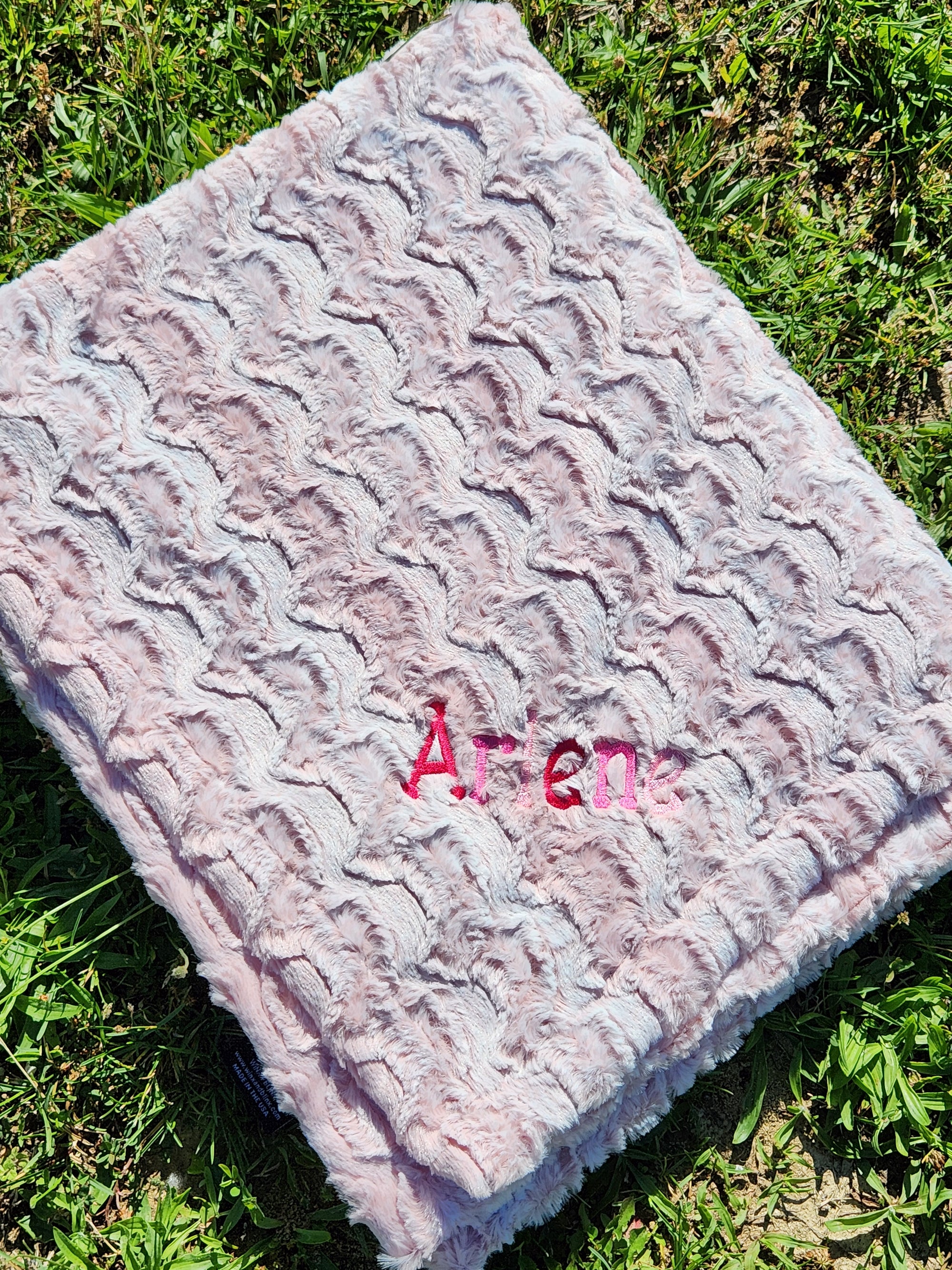 Princess Pink Girls Minky Blanket