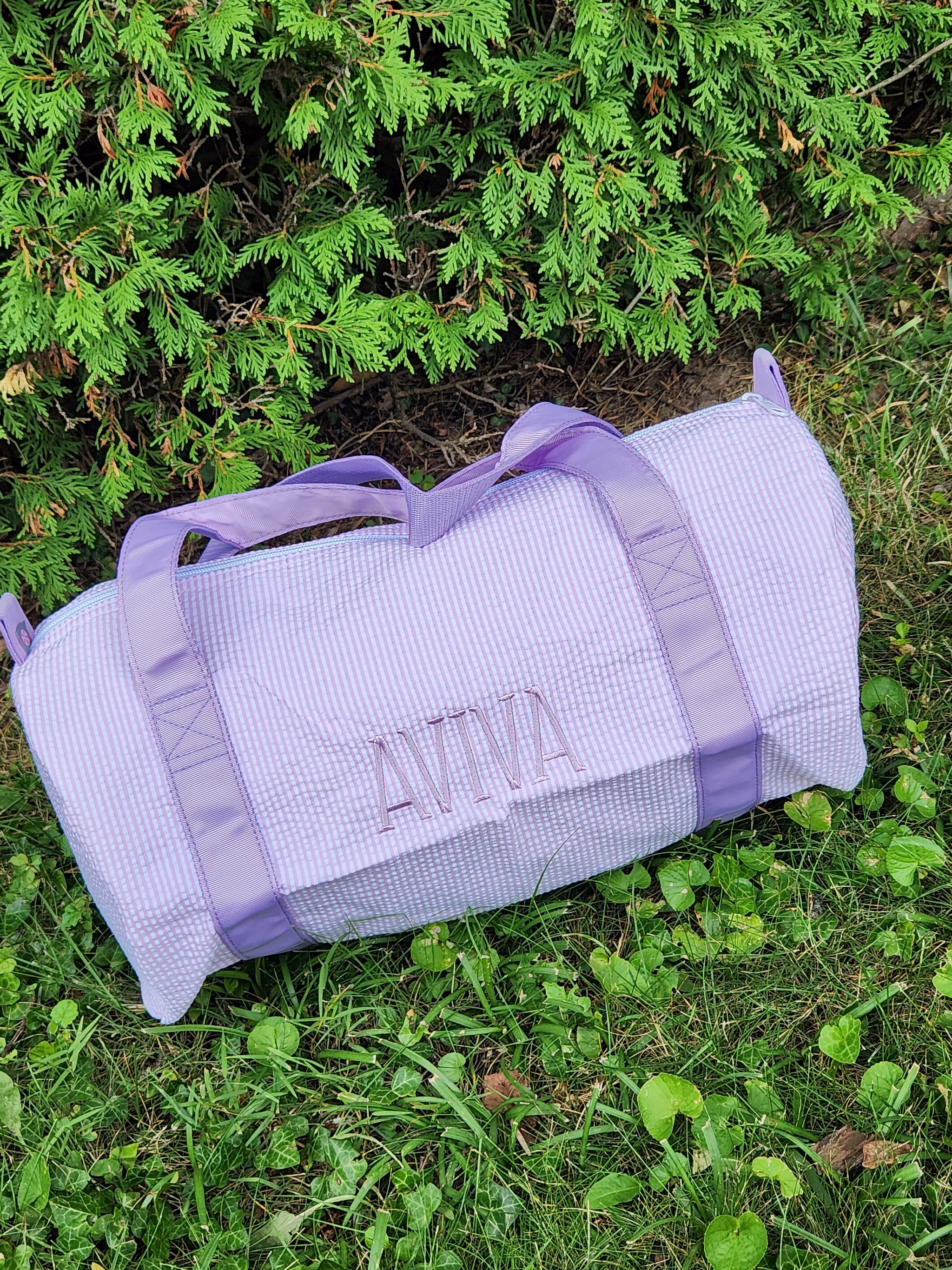 Princess Seersucker Girls Medium Duffle