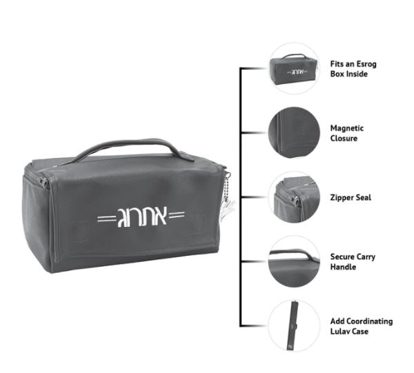 Diagonal Black Leather Esrog Bag